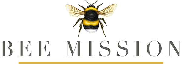 Bee Mission